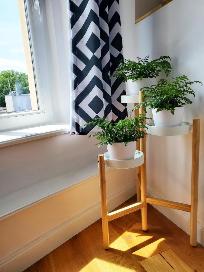 Centrum Grand Apartament Lejlighed Świdnica Eksteriør billede